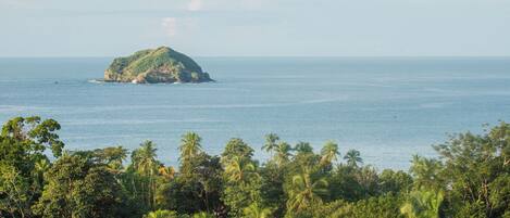 A tropical island with dense palm trees and a clear view of the ocean.