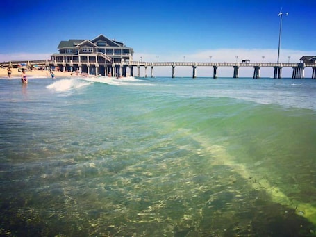 On the beach, surfing, fishing. Dolphin Oceanfront Motel