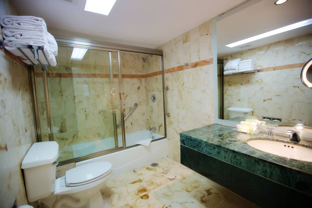 combined shower/bathtub, free toiletries, hair dryer, towels