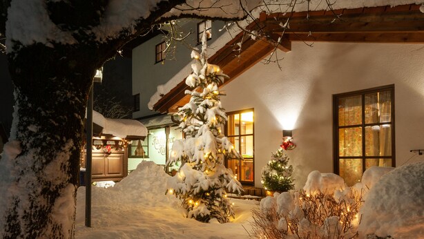 Un espacio exterior cubierto de nieve con un árbol de Navidad, un árbol pequeño decorado y luces colgantes.
