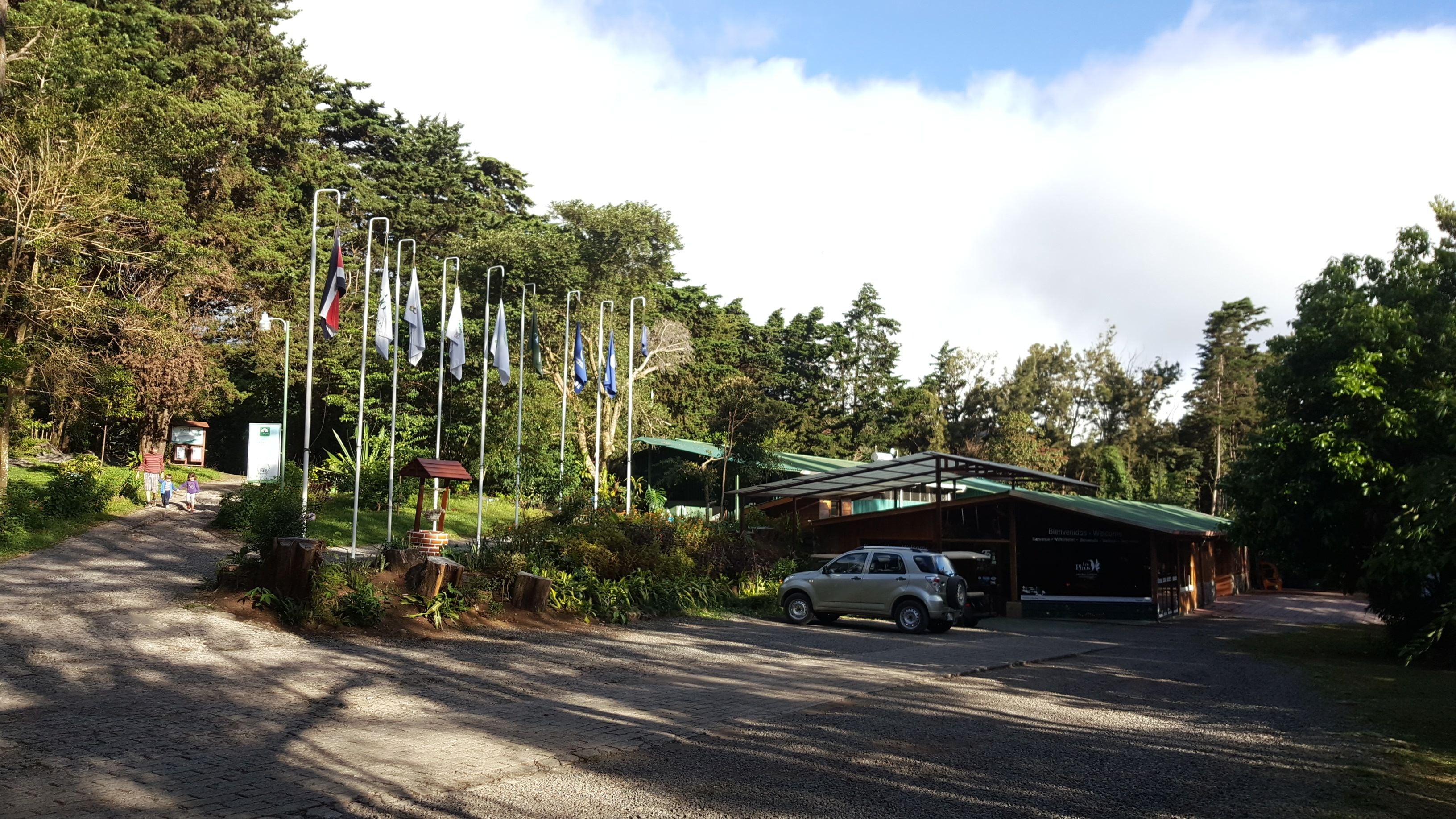 A gravel driveway leading to a building with a green roof, surrounded by trees and flags.