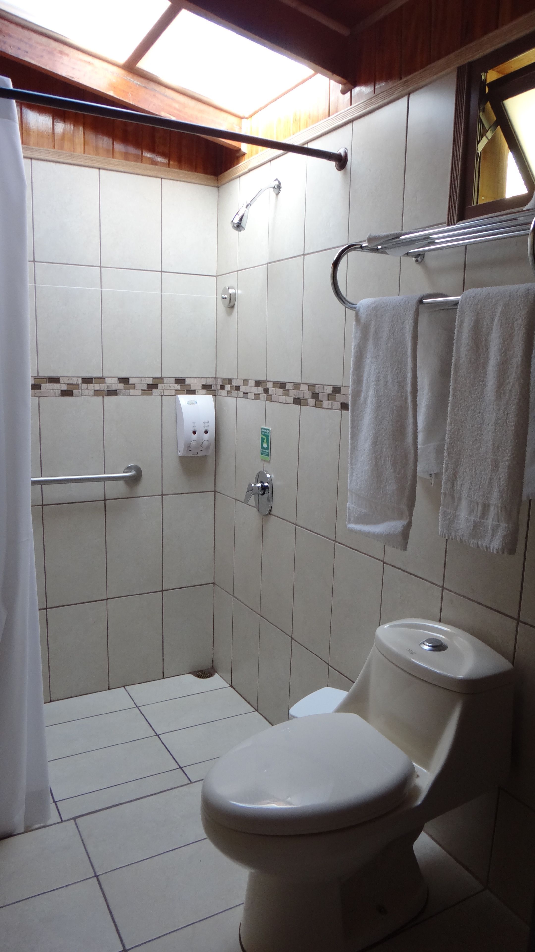Baño con ducha, inodoro y perchero para toallas.