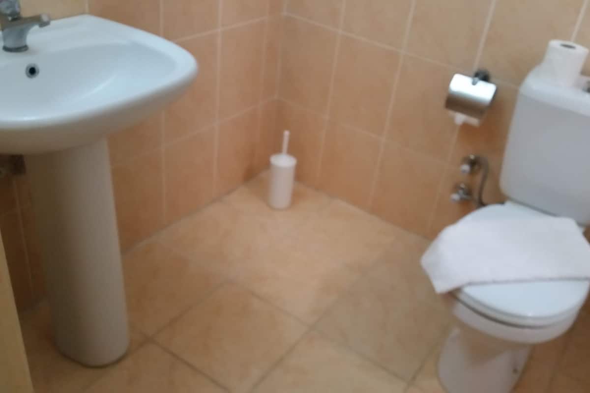 Single Room | Bathroom | Hair dryer, towels