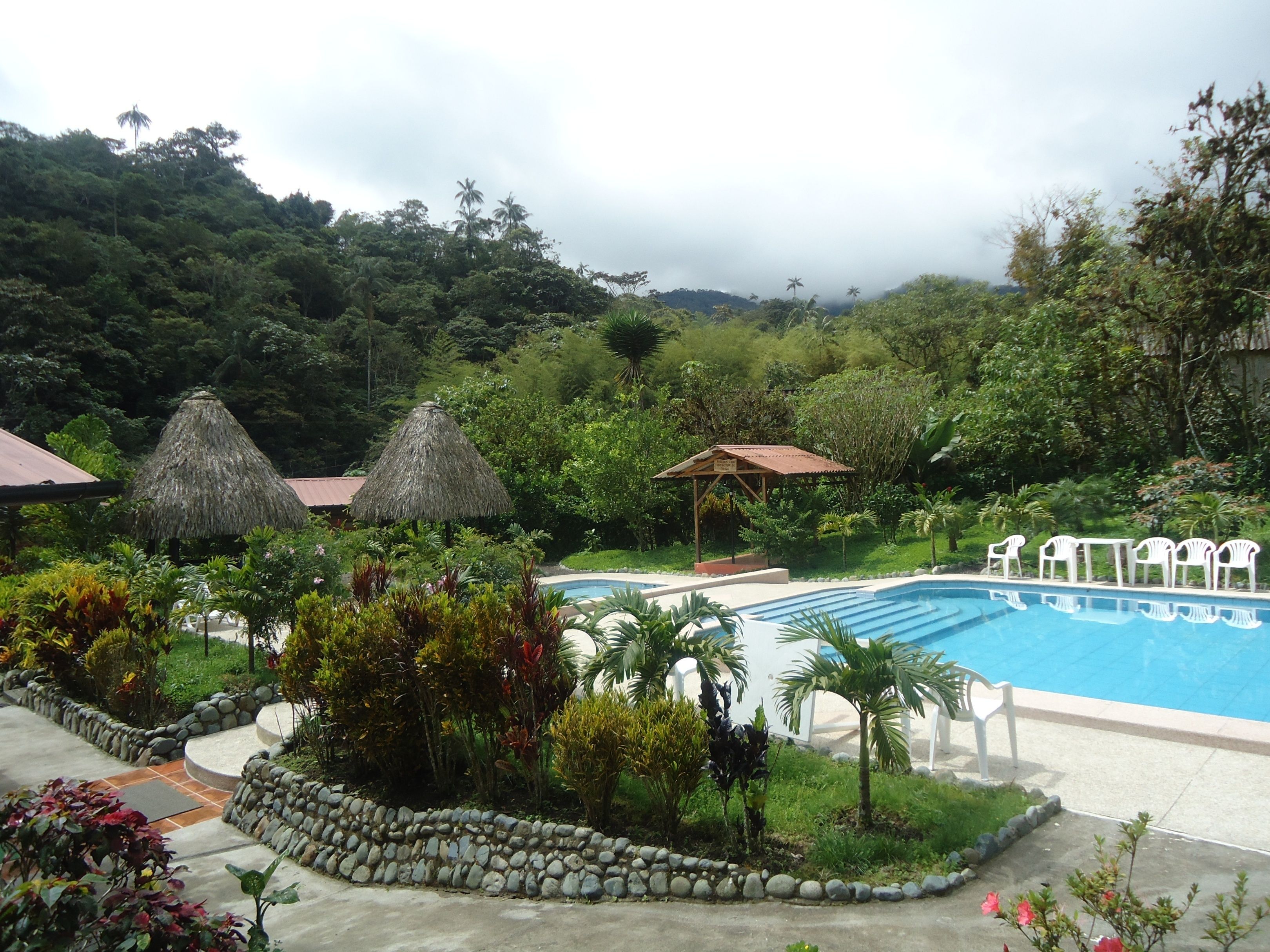outdoor pool, pool loungers