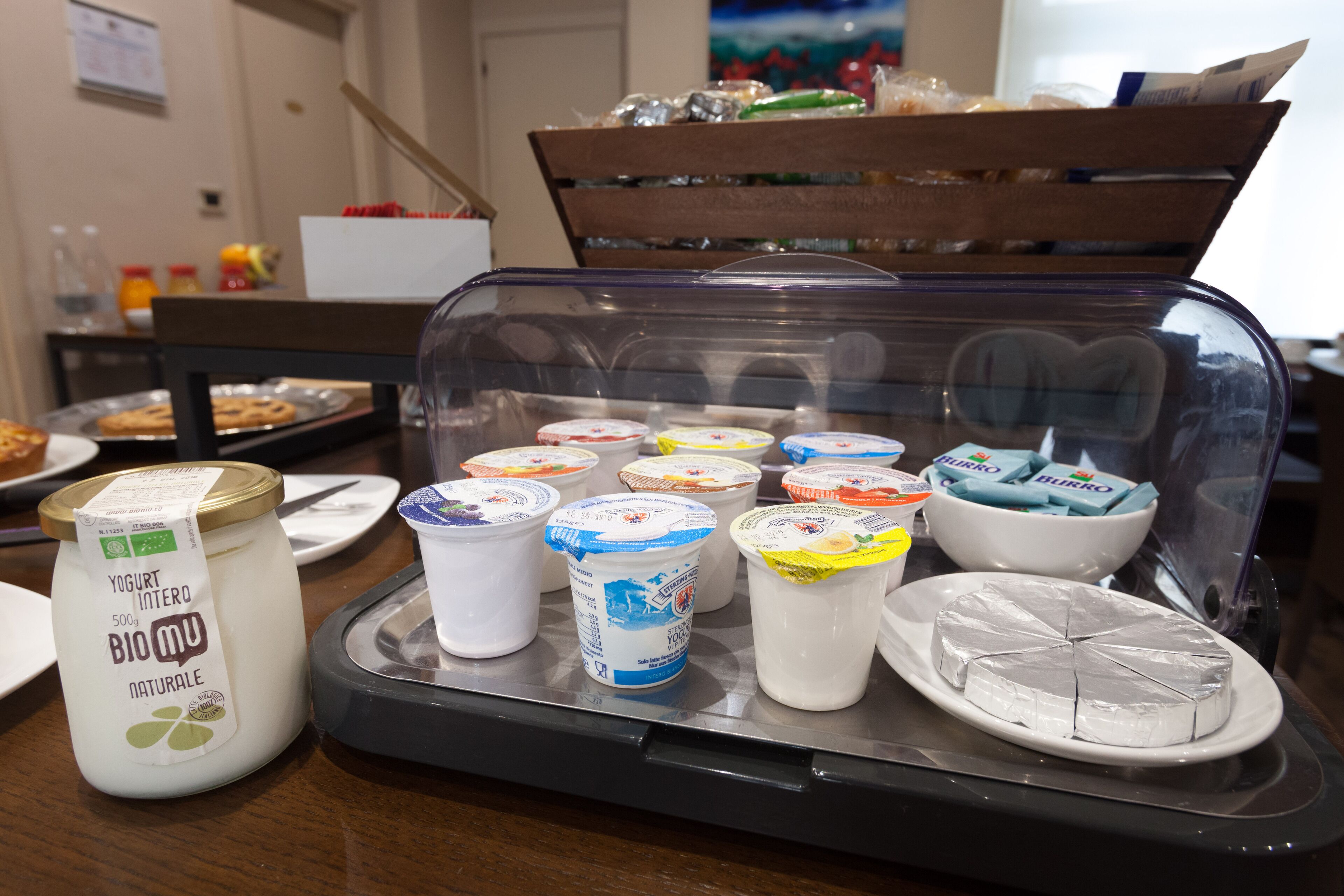 A display of various dairy products including yogurt and cheese on a buffet table.