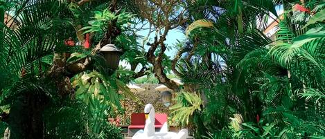 Piscina externa, guarda-sóis, espreguiçadeiras