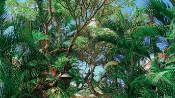 Una piscina al aire libre, sombrillas, sillones reclinables de piscina