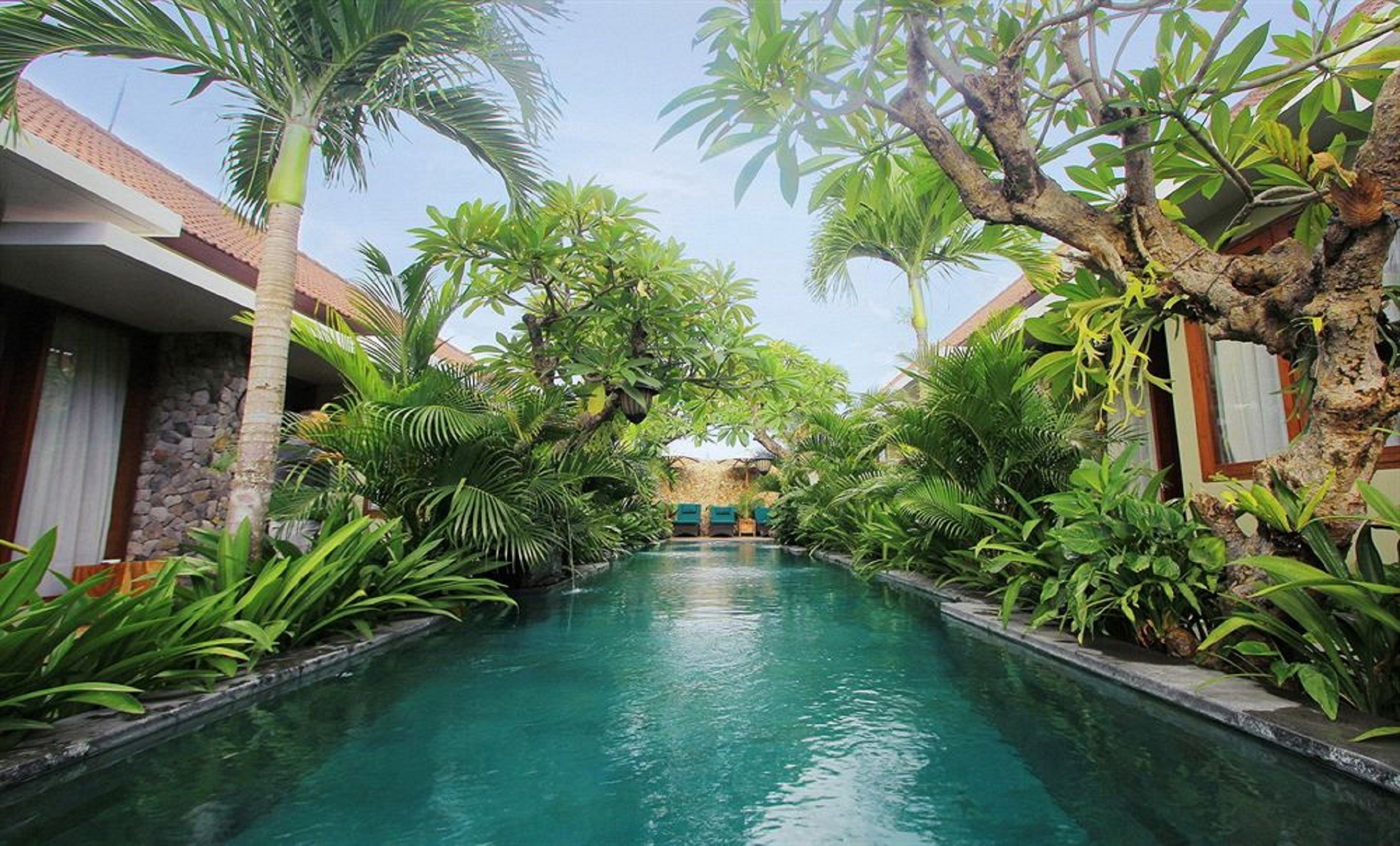 outdoor pool, pool umbrellas, pool loungers