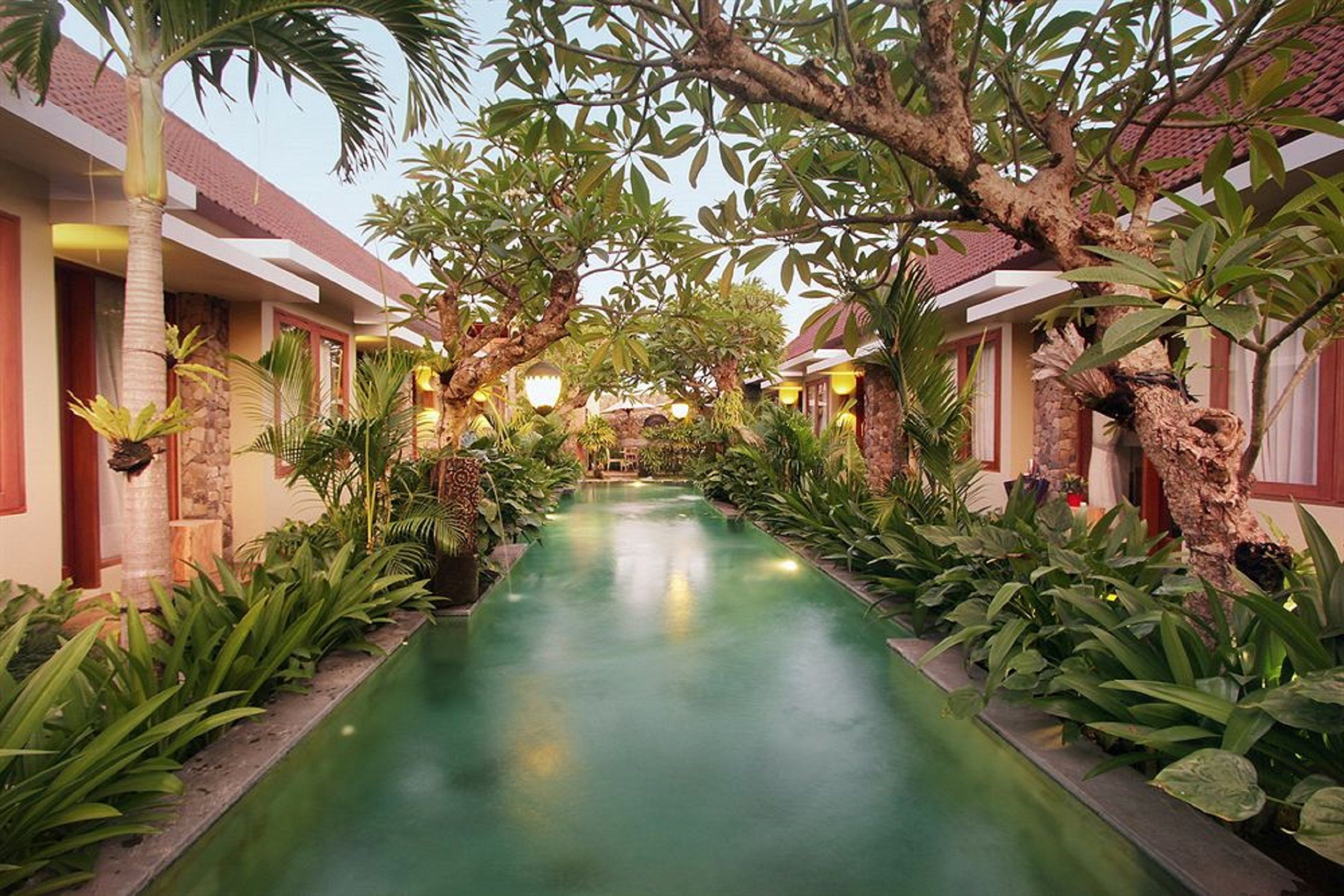 outdoor pool, pool umbrellas, pool loungers