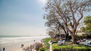 Un resort frente al mar con un gran árbol, tumbonas y vista al océano.