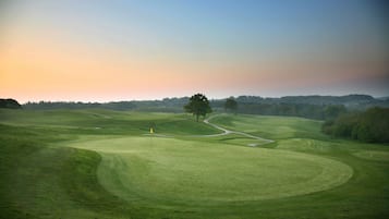 Escape to a serene golf course with rolling hills and a winding path leading to a solitary tree, perfect for golfing or leisurely walks.