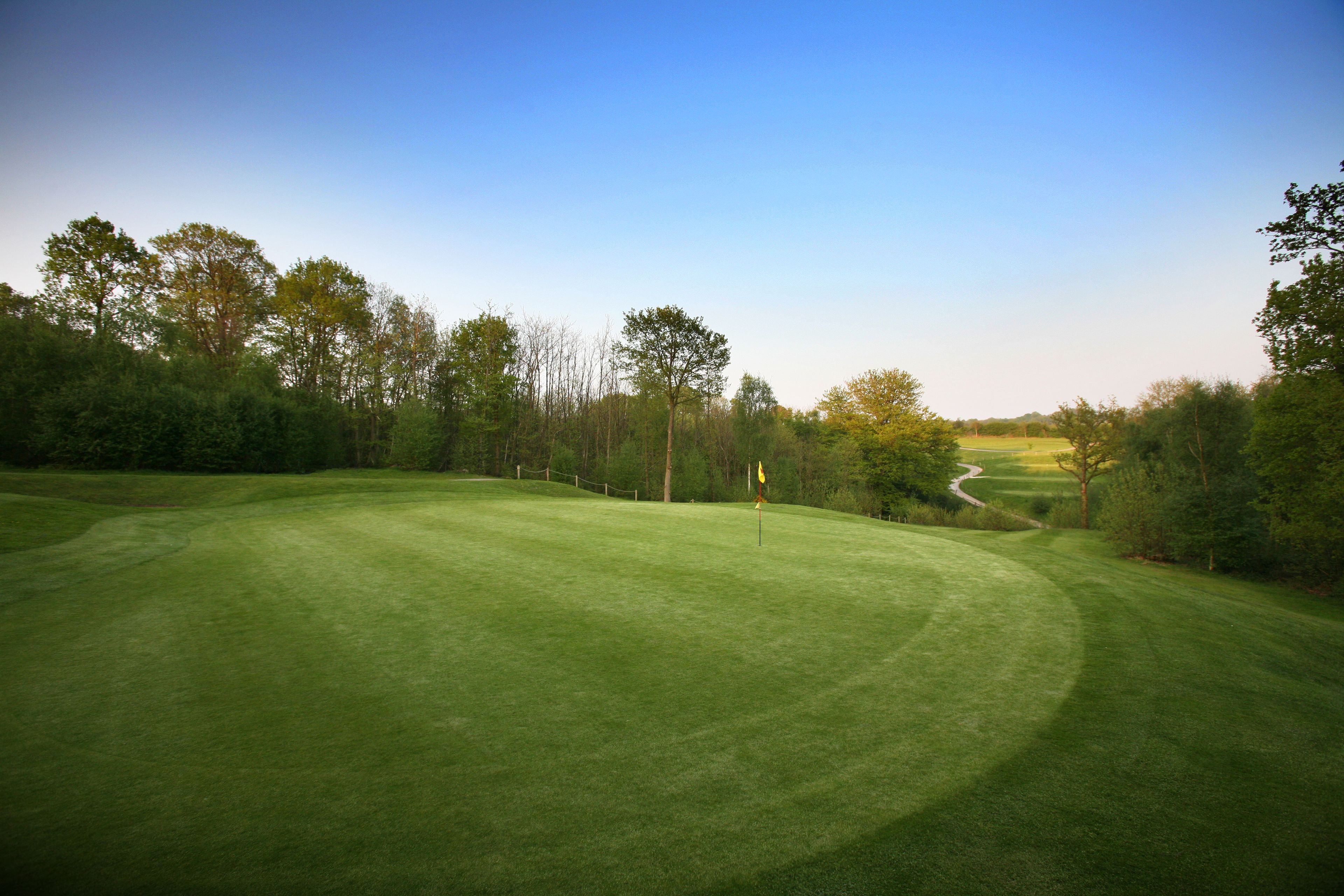 Un parcours de golf avec un gazon bien entretenu, un mât de drapeau et un sentier sinueux.