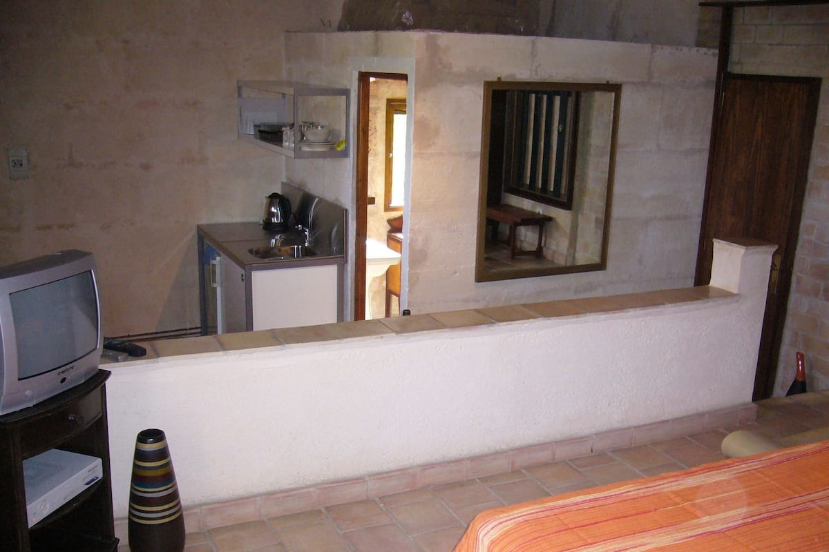 A small, compact room with a kitchenette, a television, a bed, and a mirror.