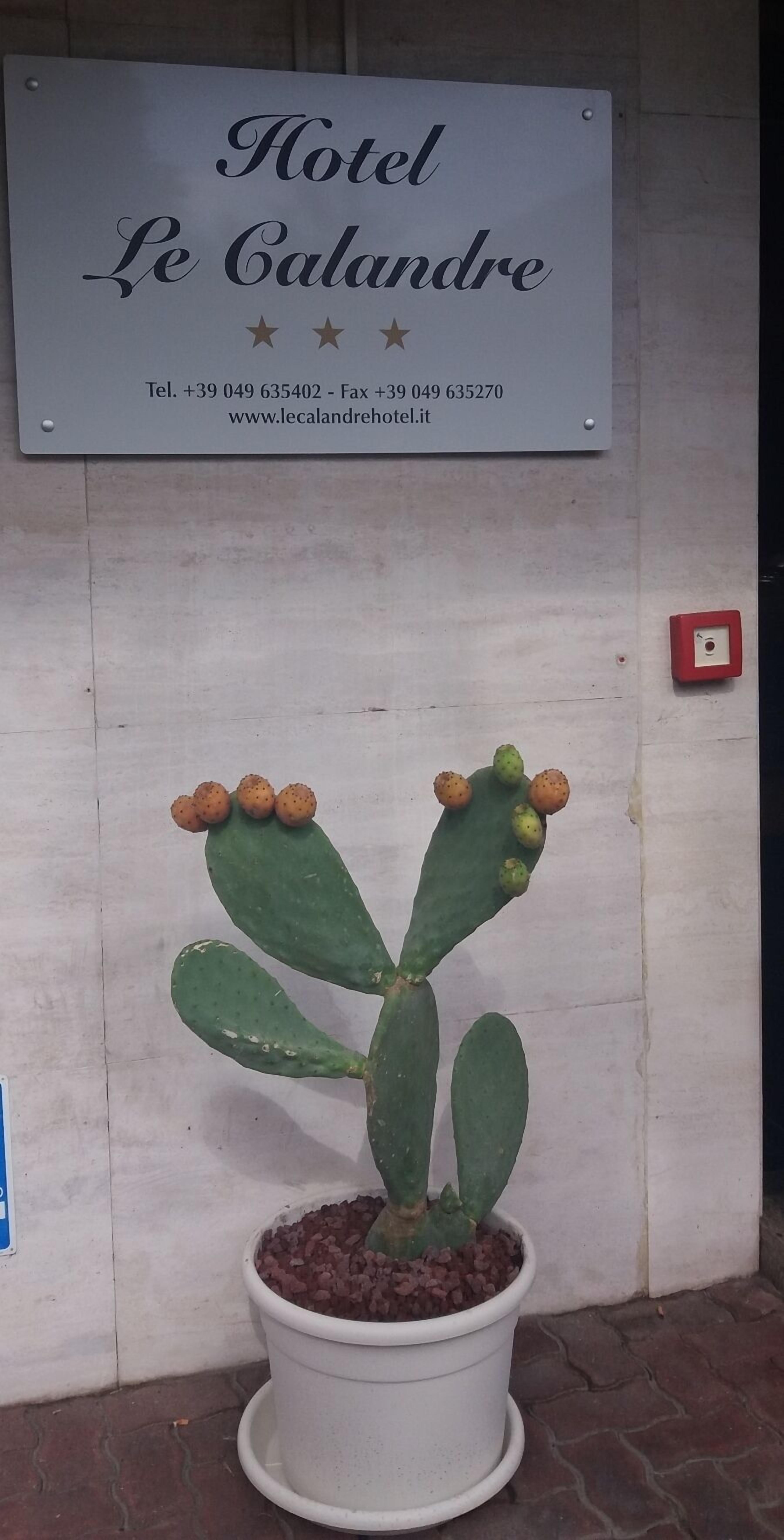 Foto - Hotel Le Calandre