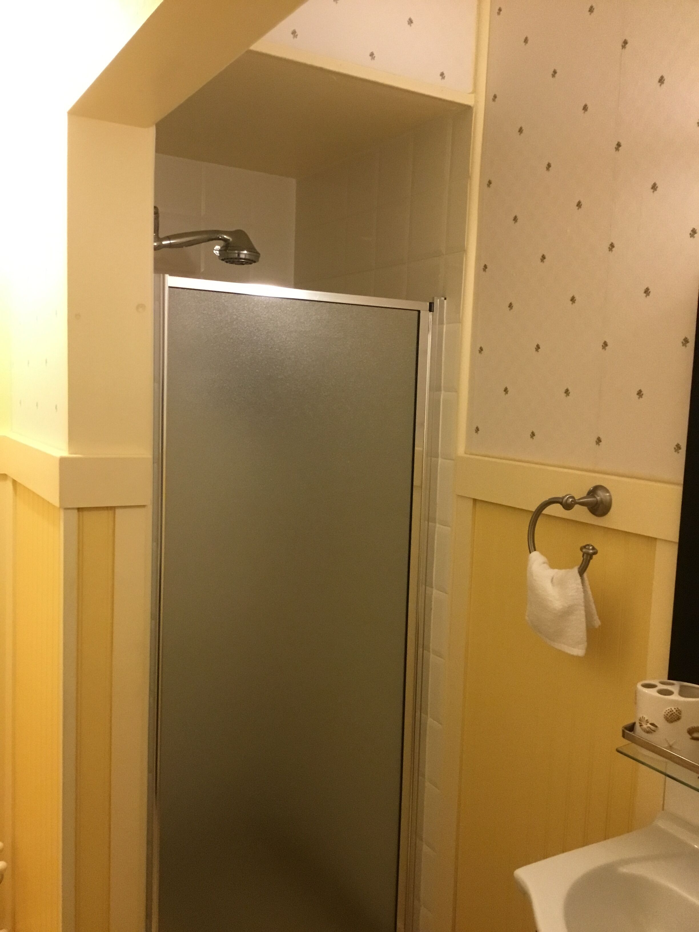 Une salle de bain avec une douche, un lavabo et un porte-serviettes.