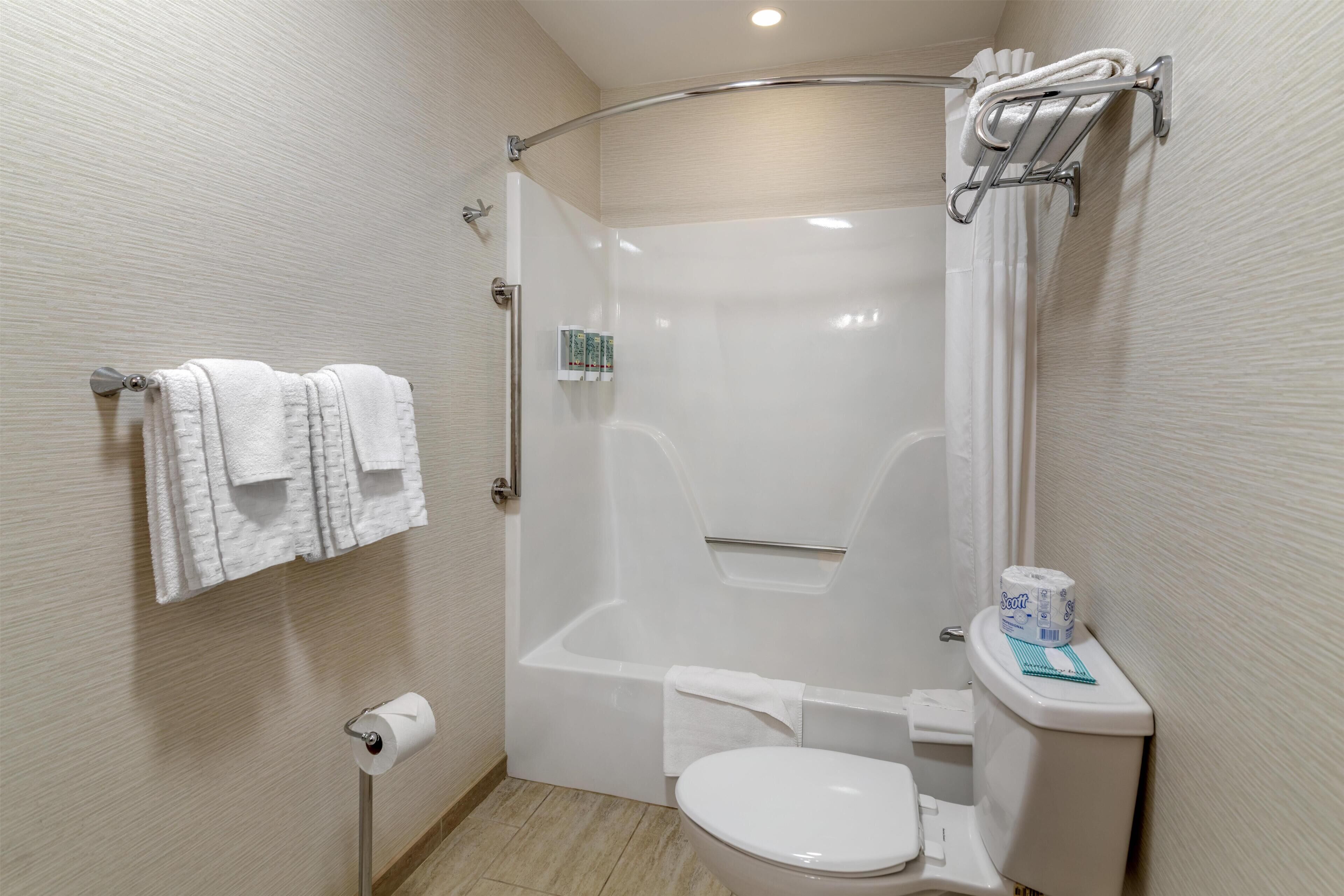 A bathroom with a shower, toilet, and towel rack.