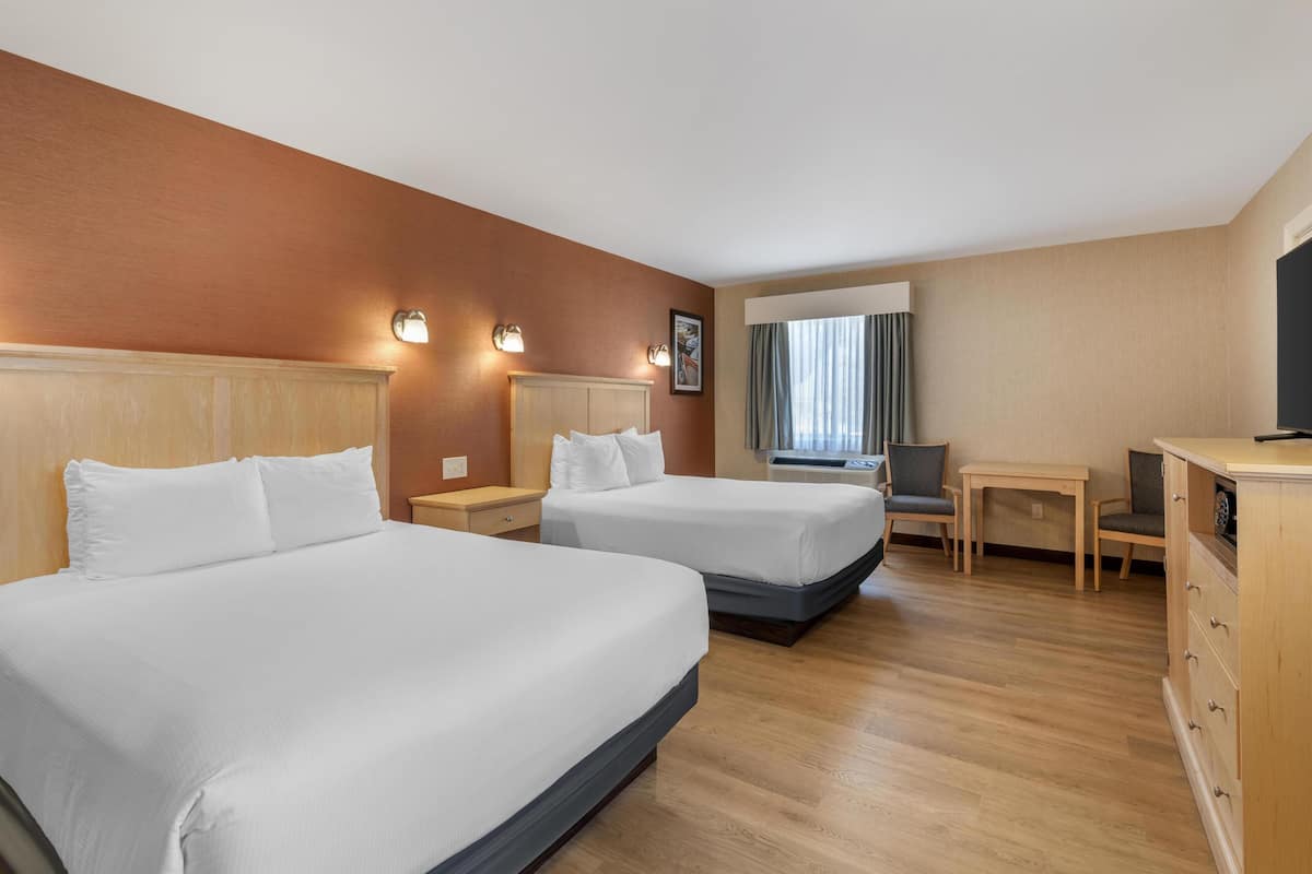 스탠다드룸, 퀸사이즈침대 2개, 장애인 지원, 금연 (Walk-in Shower;Pet Friendly) | 고급 침구, 필로우탑 침대, 객실 내 금고, 책상