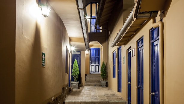 A narrow hallway with stone steps leading to a set of blue doors, a staircase, and a potted plant.