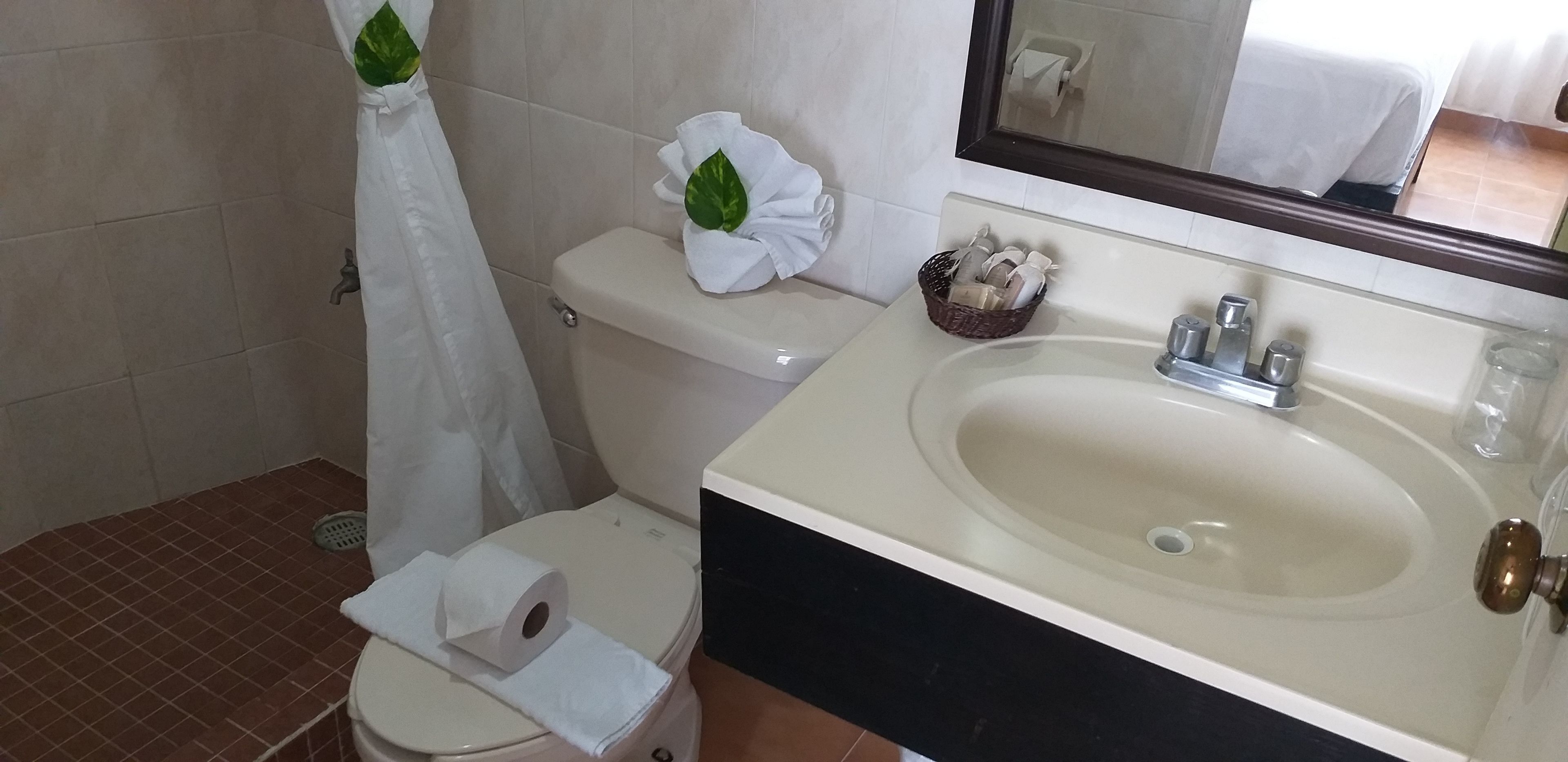 basic room, 1 queen bed | bathroom | shower, free toiletries, hair dryer