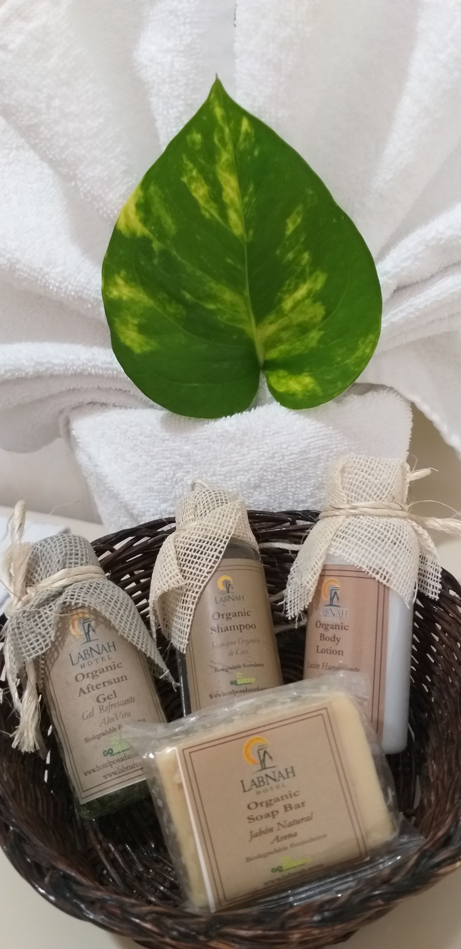 basic room, 1 queen bed | bathroom | shower, free toiletries, hair dryer