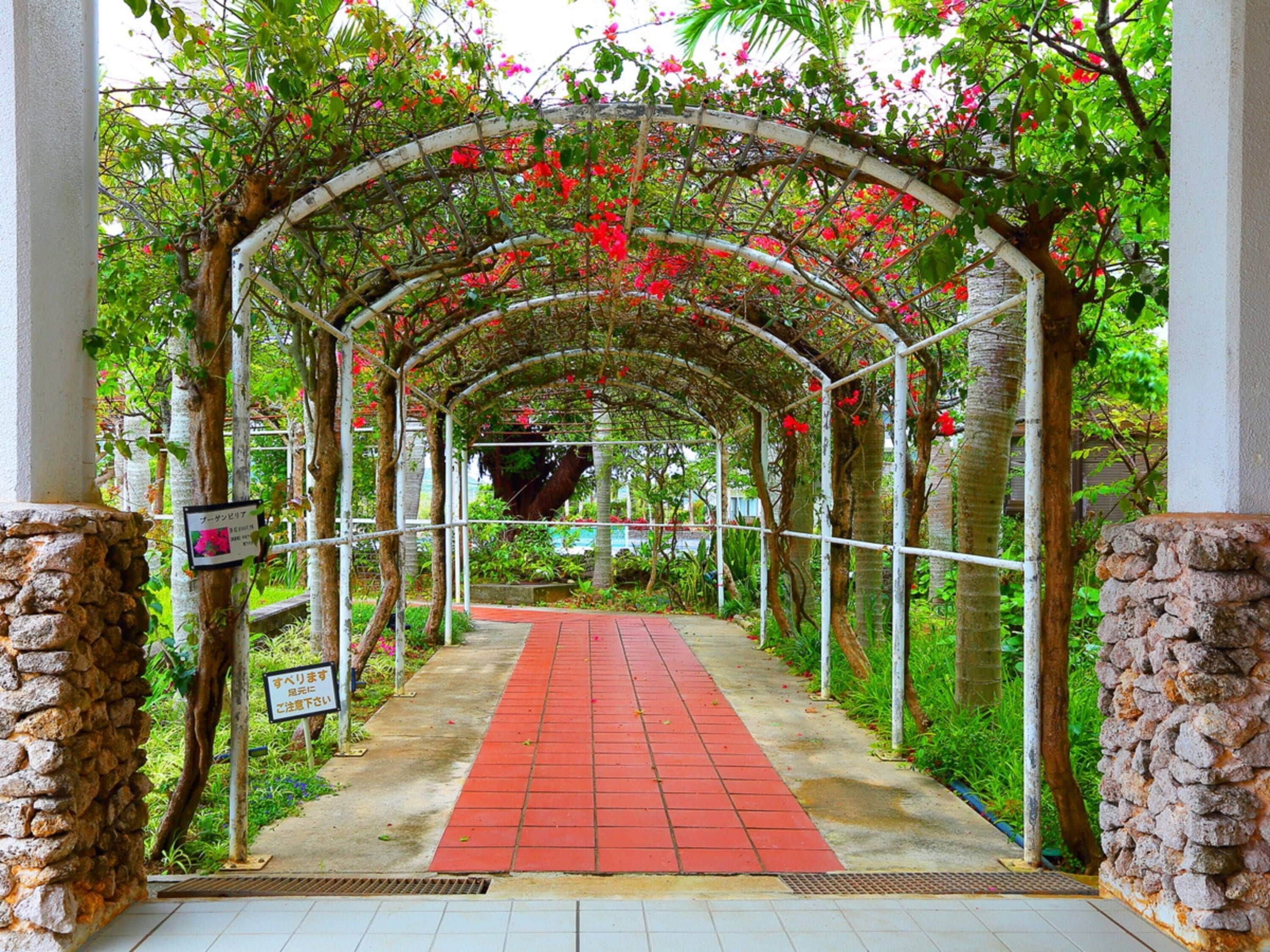 Une allée couverte avec un chemin rouge, bordée de verdure et de murs en pierre.