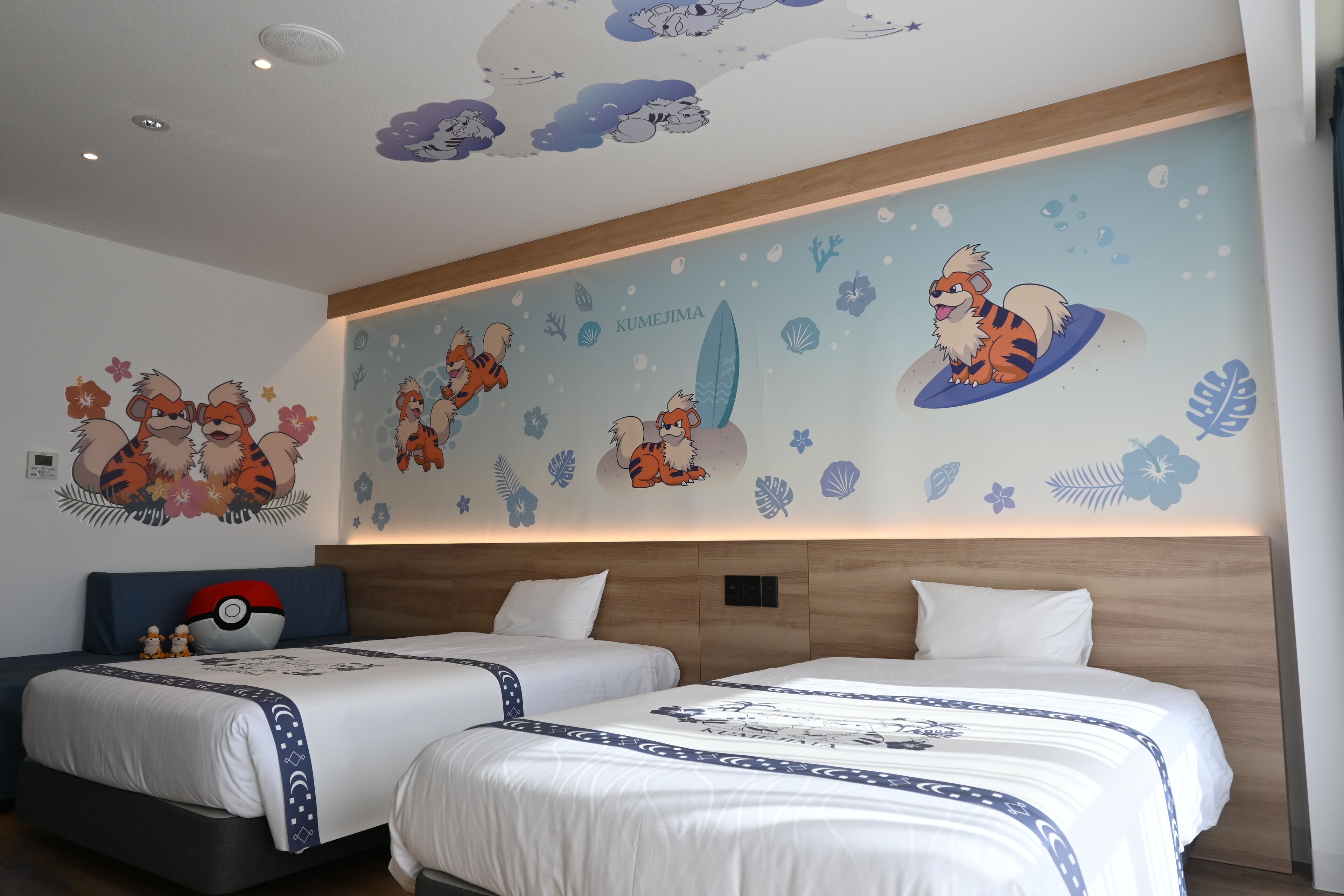 Superior-Zweibettzimmer, Nichtraucher