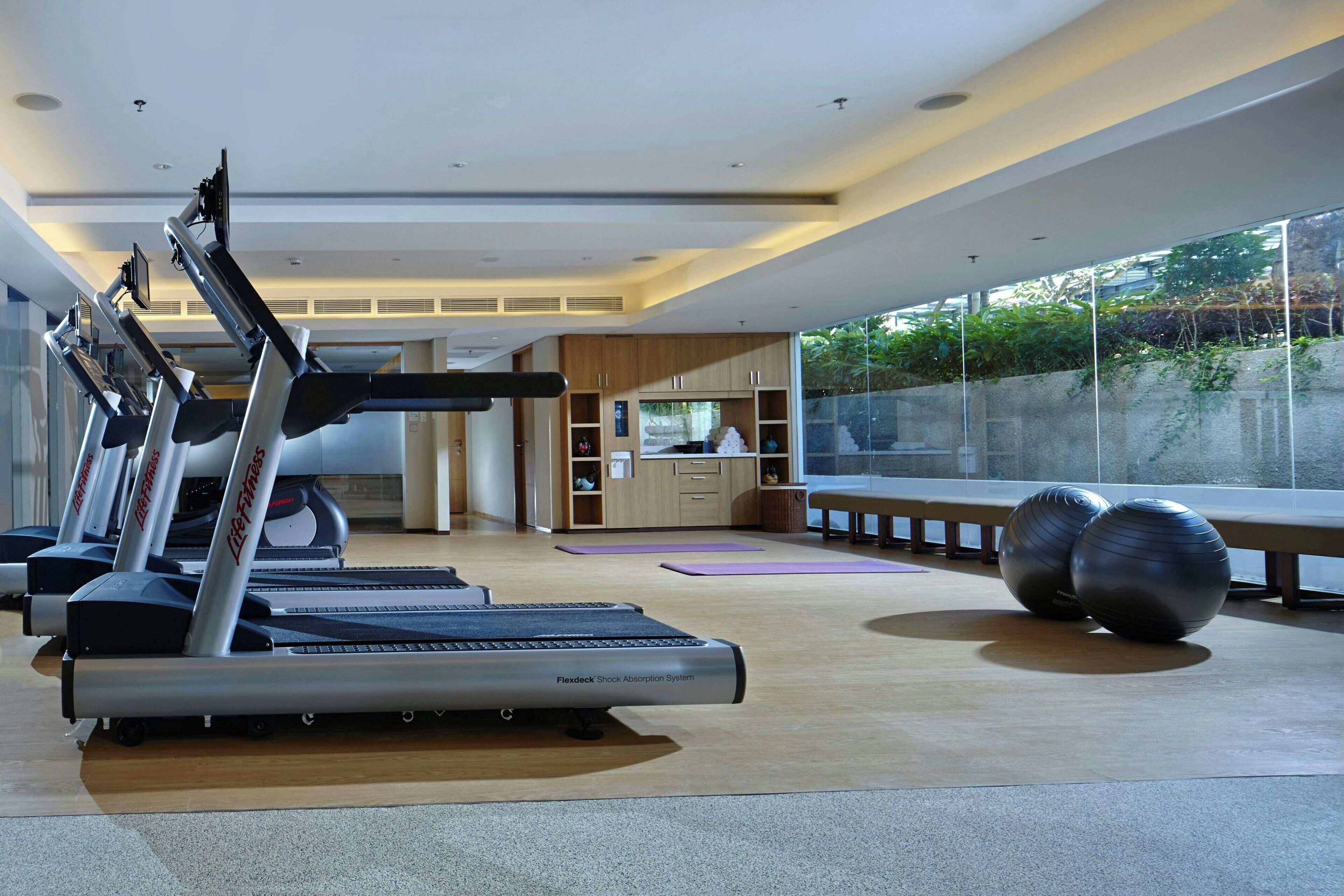 A gym with treadmills, exercise balls, and a view of greenery outside.