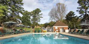 Piscina con sillones reclinables y sombrillas, rodeada de árboles y un pequeño edificio.