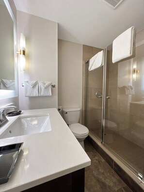 A modern bathroom with a white sink, toilet, and glass-enclosed shower. - Edgewater Hotel (Whitehorse)