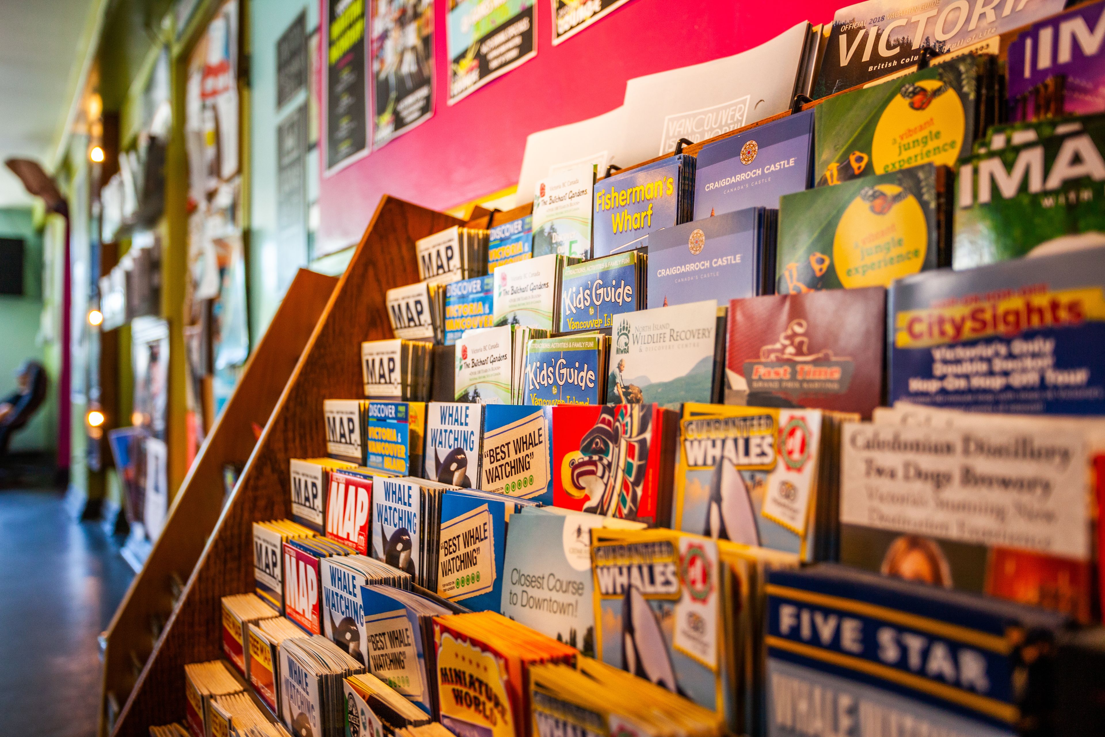 Photo - Ocean Island Inn | Backpackers | Suites