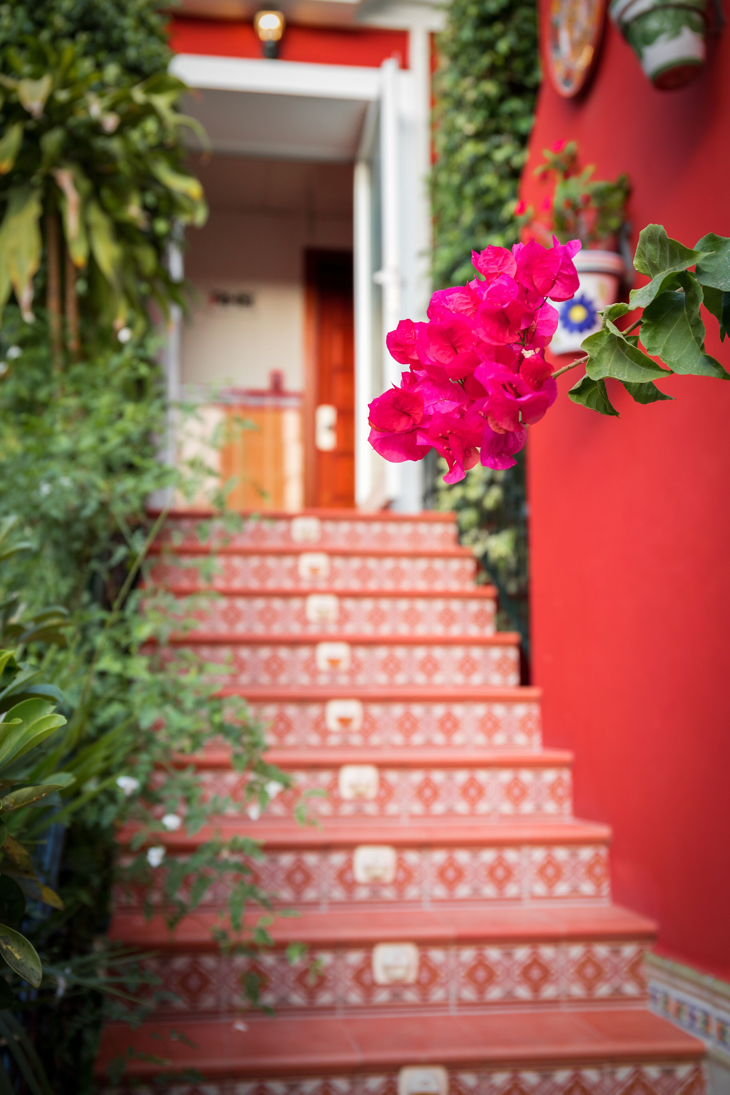 Photo - Hotel Romerito