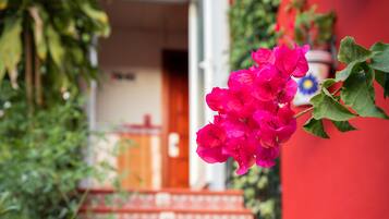 Entrada al alojamiento