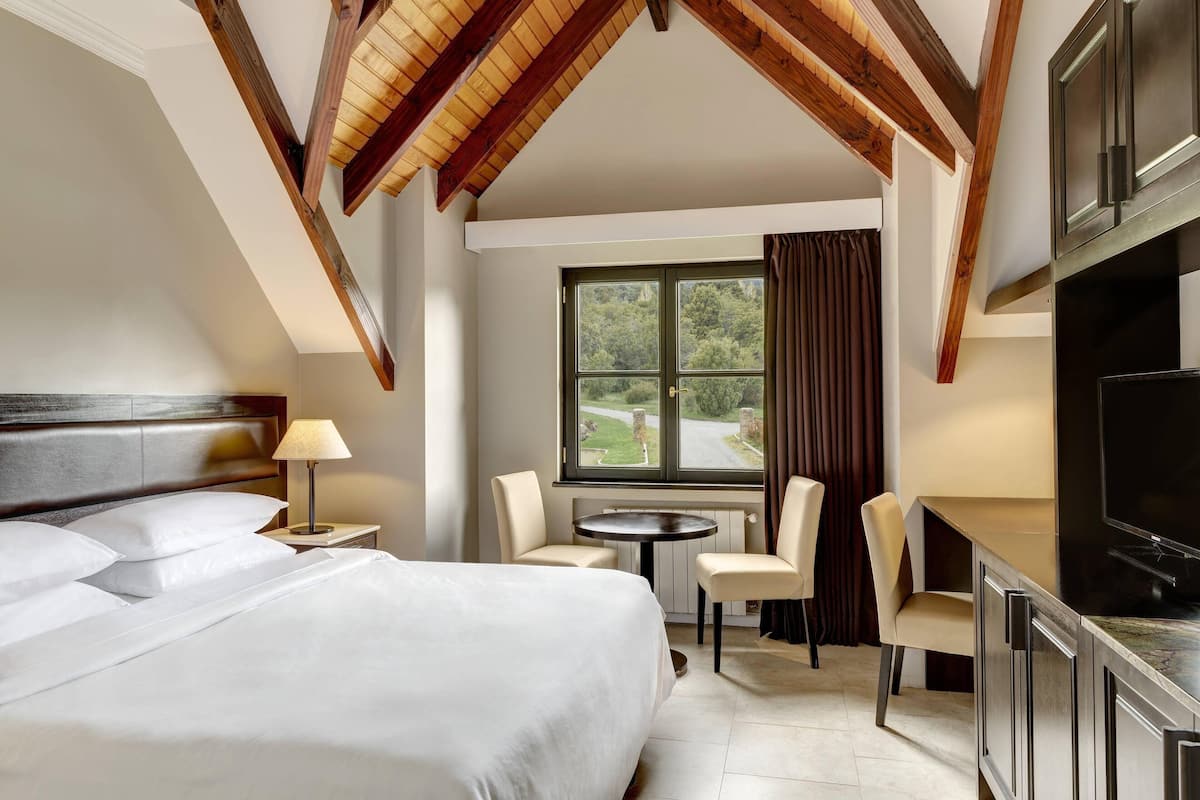 Room, 1 Queen Bed, Mountain View | 1 bedroom, Egyptian cotton sheets, premium bedding, down duvets