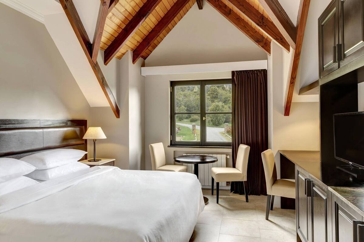 Habitación de hotel con cama, escritorio con televisor, silla, lámpara y ventana con vistas a zonas verdes.