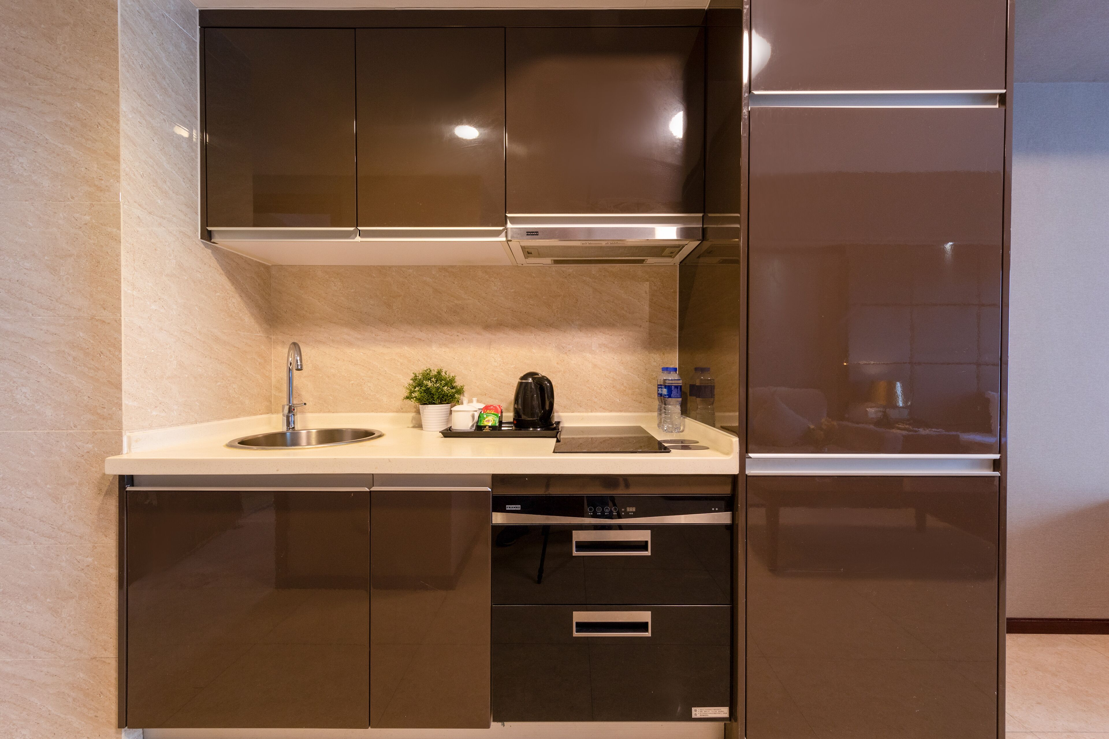 A modern kitchen with a built-in dishwasher, stainless steel cabinets, and a countertop with a sink, kettle, and potted plant.
