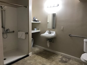 Combined shower/tub, free toiletries, hair dryer, towels