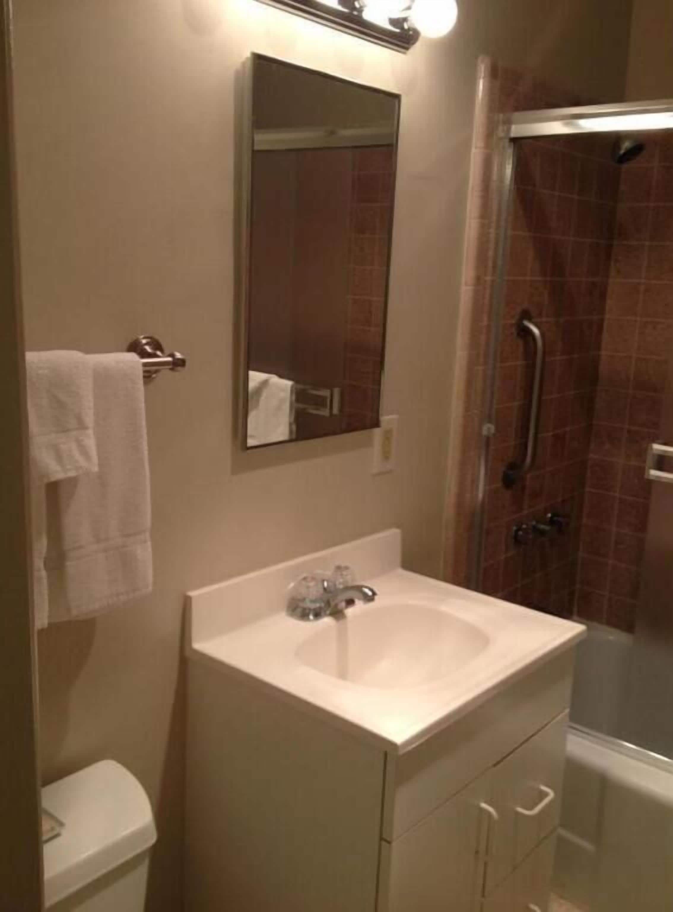 combined shower/bathtub, free toiletries, hair dryer, towels