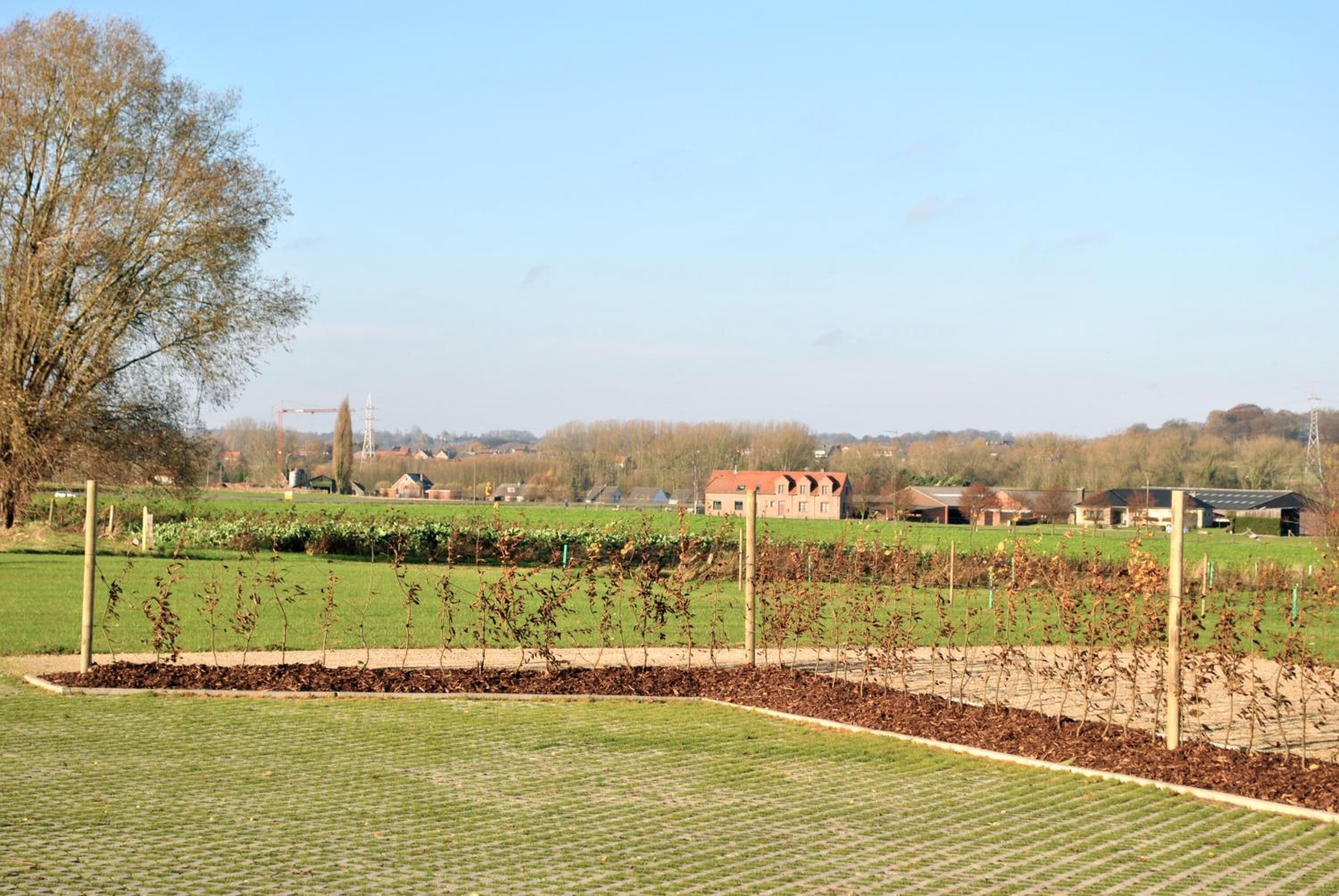 Photo - B&B Louis1924