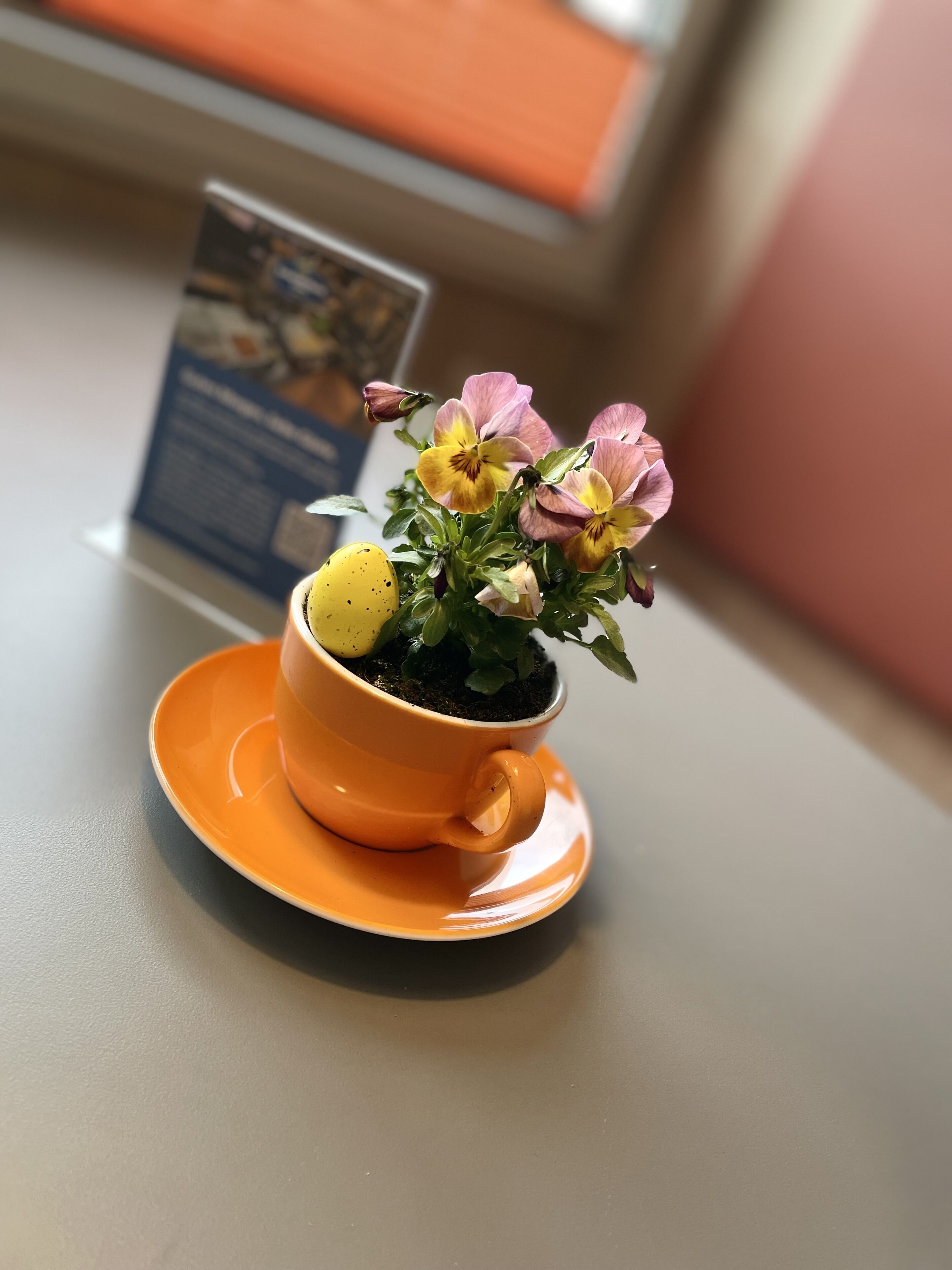 A small potted plant with flowers on an orange saucer.