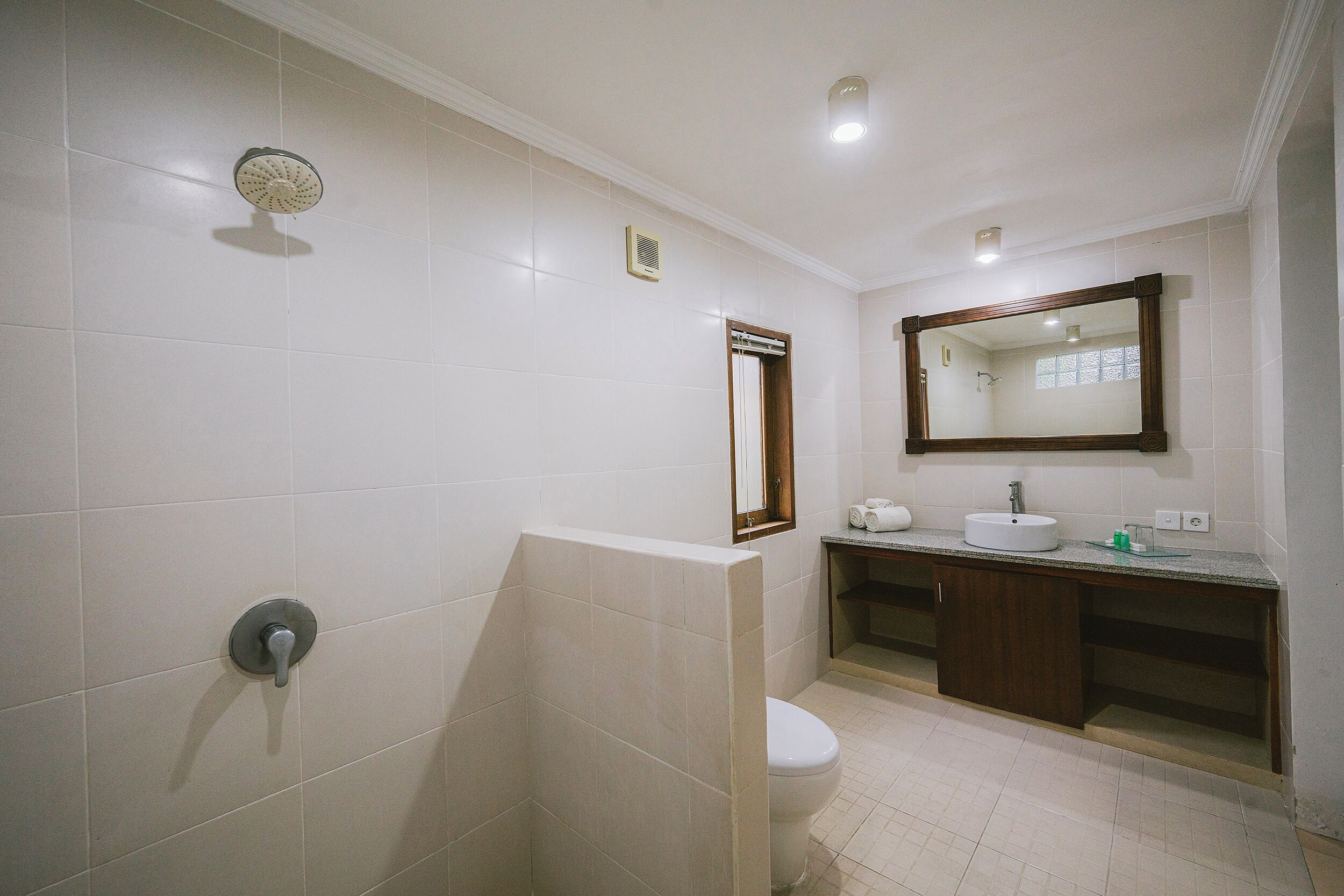 Un baño con ducha, inodoro, lavabo y espejo.