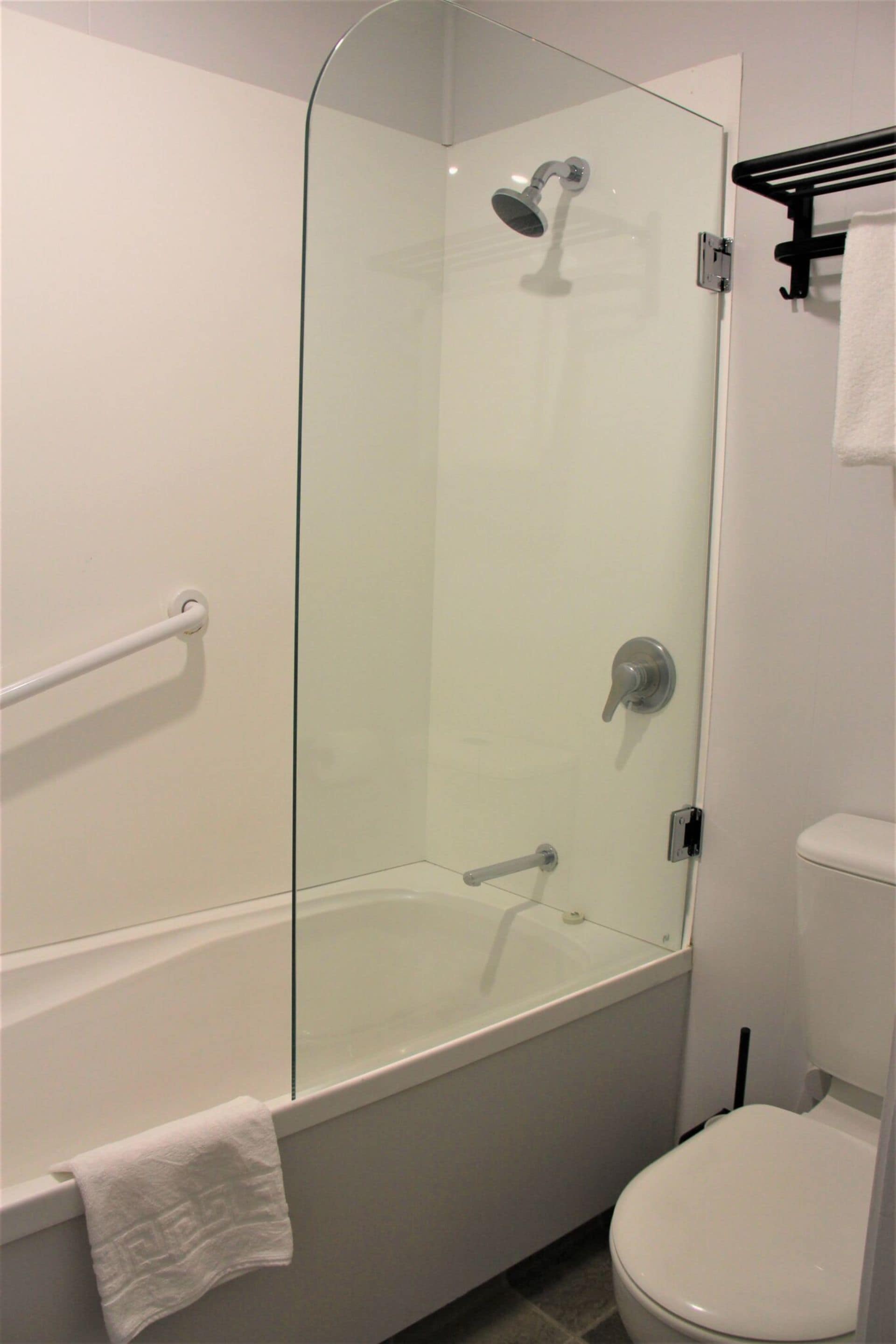 A glass-enclosed shower with a handheld showerhead, a white bathtub, and a white toilet.