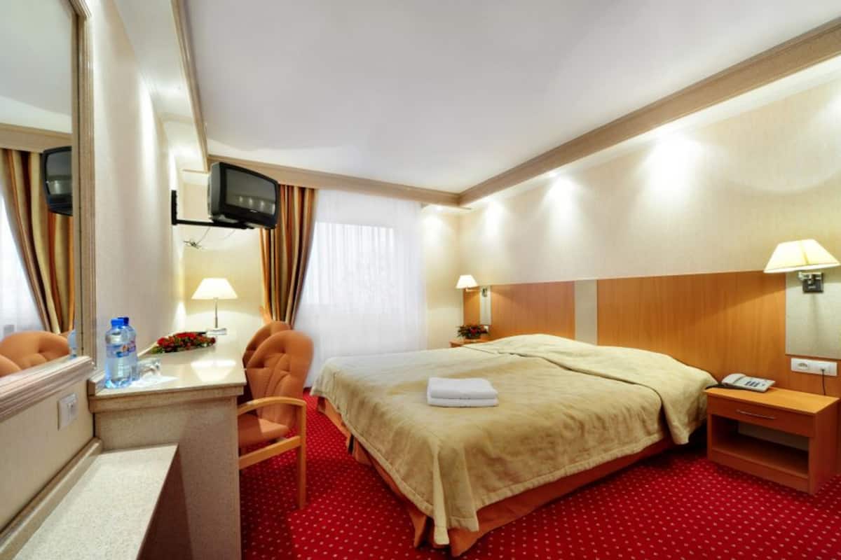 Une chambre d’hôtel comprenant un lit, un bureau avec une chaise, une télévision et un miroir.