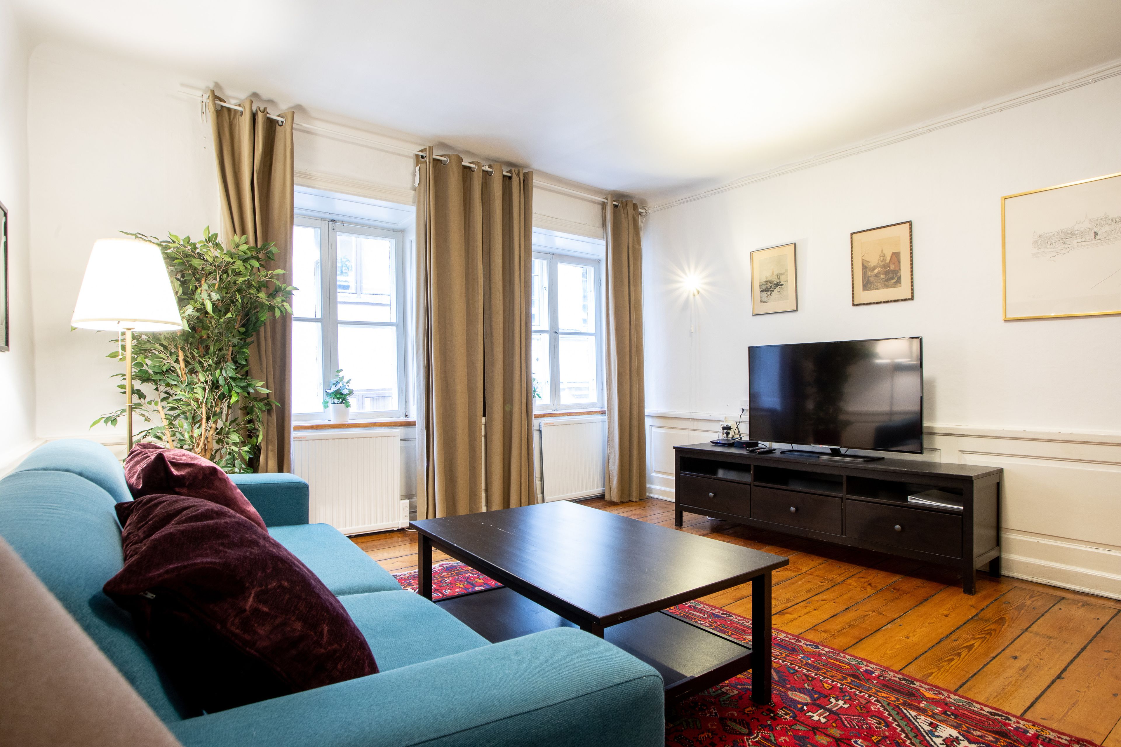 A living room with a sofa, a coffee table, a TV, a plant, and a window with curtains.