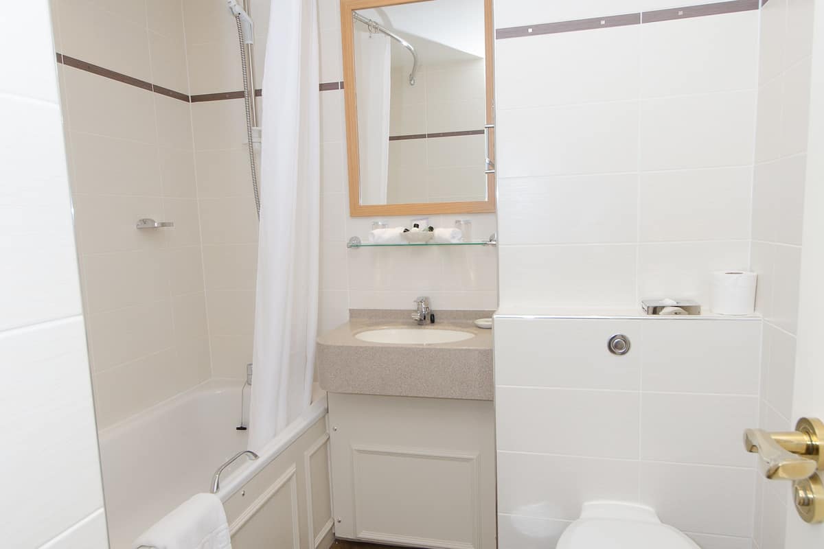 combined shower/bathtub, free toiletries, hair dryer, towels