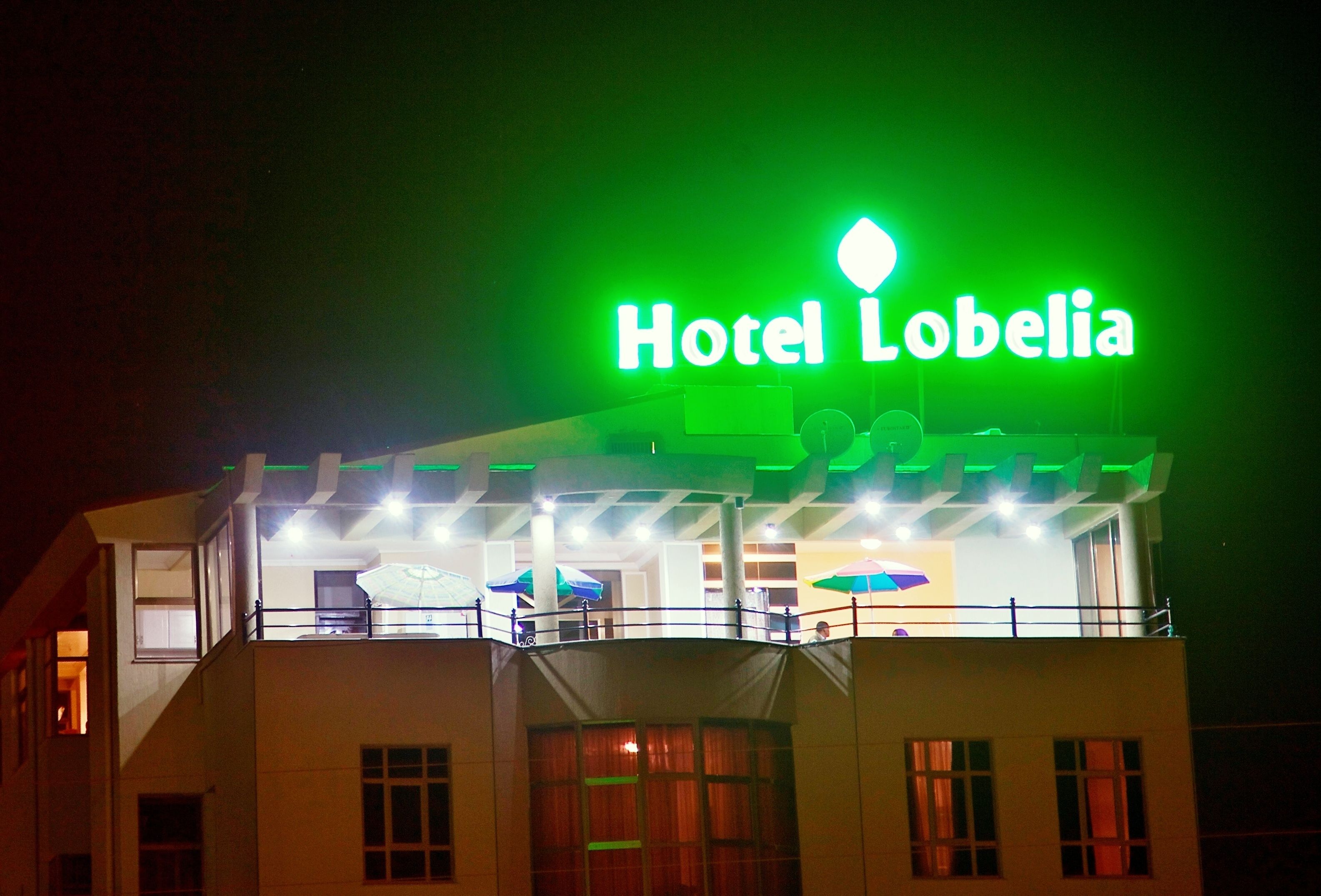 A hotel named Hotel Lobelia with a prominent green sign.