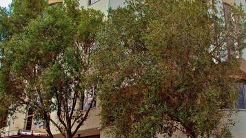 A multi-story building with a curved facade, large windows, and a tree in front.