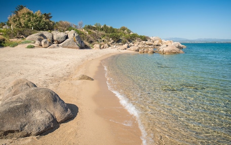 A sandy beach with clear water, large rocks, and sparse vegetation.