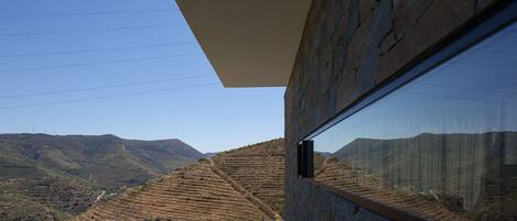 Un edificio moderno con un amplio ventanal que ofrece vistas a viñedos en terrazas y colinas onduladas.