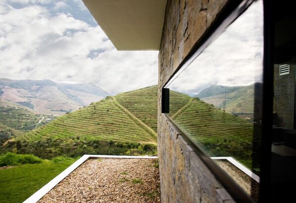Exterior - Quinta de Casaldronho Wine Hotel (Lamego)