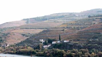A rural landscape with terraced fields, a river, and a few buildings on a hillside.